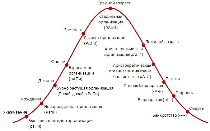 02. Жизненный цикл организации в кодировке РАПИ